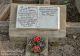 Helen Miller, Francis Albert and Arthur James Scott - Andersons Bay Cemetery