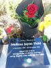 Melissa's Headstone, Taita Cemetery
